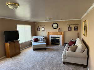 Living room with crown molding, carpet floors, and a fireplace