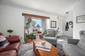 Living room featuring light wood-type flooring