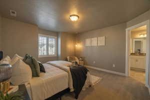 Carpeted bedroom with a textured ceiling and ensuite bathroom