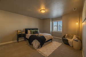 Bedroom featuring carpet flooring and a textured ceiling