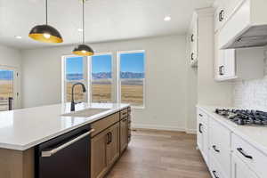 Gourmet kitchen with GE Cafe gas stove, double ovens, dishwasher, a wood hood, and enlarged island