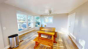 Dining room featuring light hardwood / wood-style floors and ceiling fan