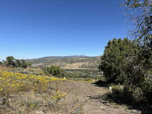 Driveway at End of Patrias Bench Lane