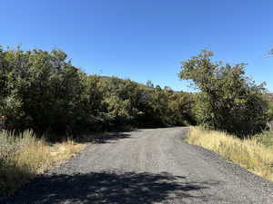 Access Road in Woodland Crest