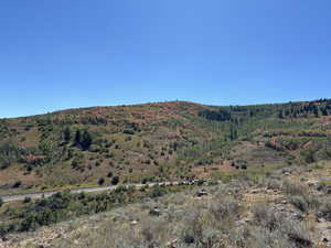 Wolf Creed Ranch main road as seen from End of Patrias Bench Lane