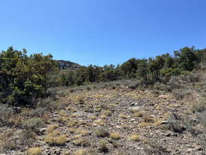 Southern View from Building Pad at End of  Patrias Bench Lane.