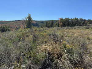 Overlooking Wolf Creek from End of Patrias Bench Lane