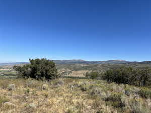 Eastern View from Building Pad at End of Rhoades Road