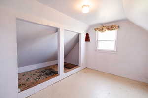 Bonus room with lofted ceiling