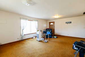 Miscellaneous room with carpet