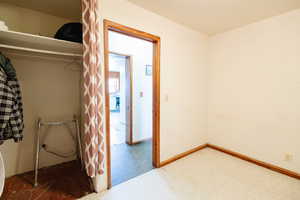 Spacious closet featuring carpet floors