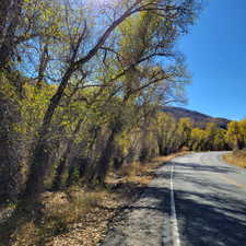 View of road