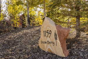 Photo 89 of 1159  SNOW BERRY ST