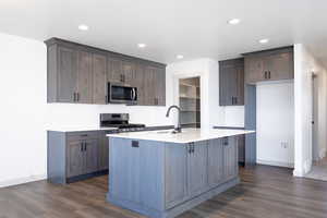 Kitchen with dark wood-type flooring, stainless steel appliances, sink, and an island with sink