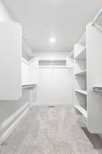 Spacious closet with carpet