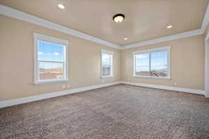 Spare room featuring ornamental molding and carpet