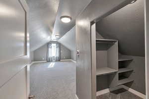 Additional living space featuring vaulted ceiling, a textured ceiling, and carpet floors