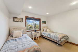 Bedroom with carpet flooring