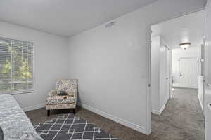 Bedroom with dark colored carpet