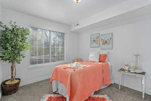 Bedroom with carpet floors