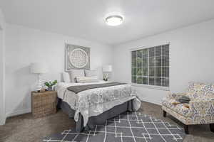 Bedroom featuring dark colored carpet