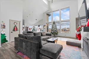 Living room featuring hardwood / wood-style floors and high vaulted ceiling