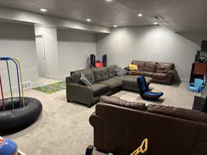 Basement living room / play room