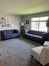 Carpeted living room featuring natural sunlight