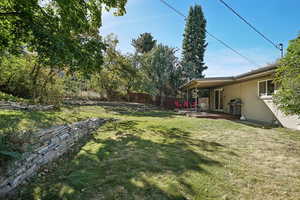 View of yard featuring a patio