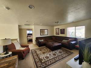 Carpeted living room featuring a textured ceiling