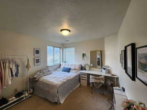 Bedroom featuring carpet and a textured ceiling