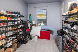 Spacious closet featuring carpet floors