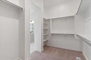 Walk in closet with light colored carpet