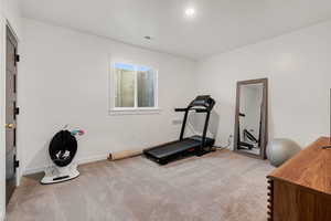 Workout area featuring carpet floors