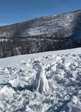 Winter view of property, featuring a playful snow dog.