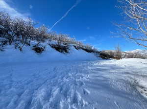 View of yard covered in snow