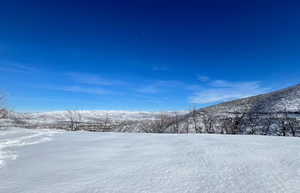 Property view of snowy mountains