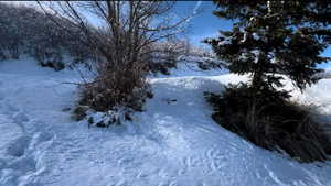 View of snowy yard