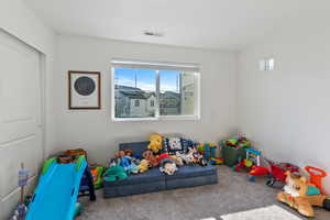 Recreation room with carpet floors