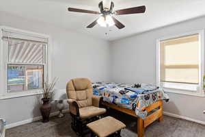 Bedroom with ceiling fan, multiple windows, and carpet floors