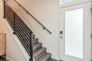 Stairs with hardwood / wood-style floors