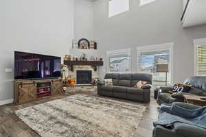 Living room featuring hardwood / wood-style flooring, a high ceiling, and plenty of natural light