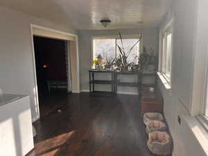 Dining space featuring washer / dryer and dark hardwood / wood-style floors