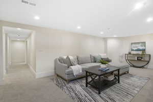 Basement family room