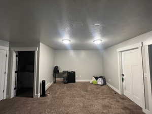 Interior space with a textured ceiling and carpet