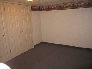 Spare room featuring a textured ceiling and carpet floors