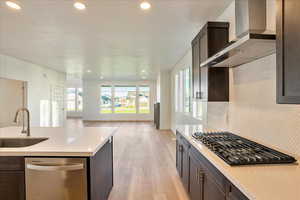 Kitchen with wall chimney range hood, sink, dark brown cabinets, stainless steel appliances, and light hardwood / wood-style flooring