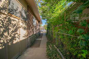 Backdoor and pathway going to the front yard