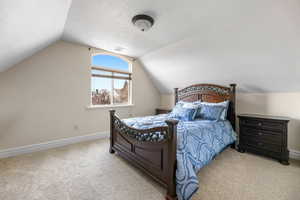 Bedroom with light colored carpet, lofted ceiling, and a textured ceiling