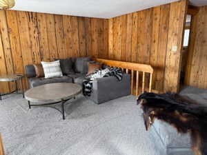 Living room featuring wood walls and carpet flooring